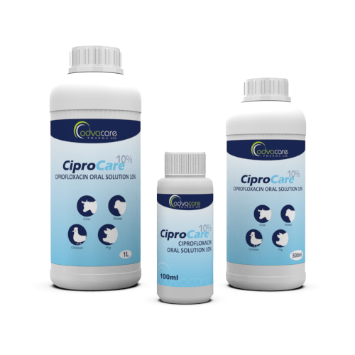 Solution Orale de Ciprofloxacine (Bouteille de 100ml, 500bouteille de ml et 1bouteille de L)