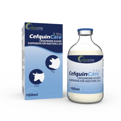 Suspensión Inyectable de Cefquinome Sulfato (1 caja y 1 frasco)