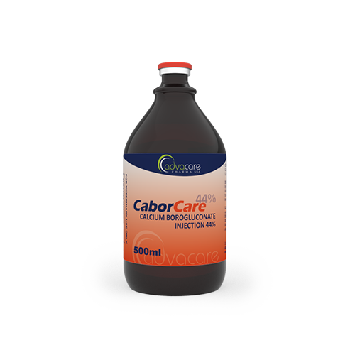 Inyección de Borogluconato de Calcio (1 frasco)