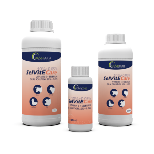 Vitamin E + Selenium Oral Solution (100ml bottle, 500ml bottle and 1L bottle)