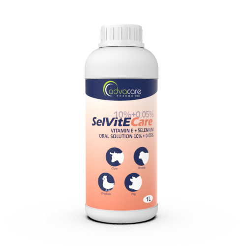 Vitamin E + Selenium Oral Solution (1 bottle)