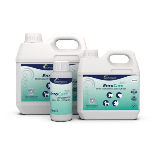 Solución Oral de Enrofloxacina (100ml botella, 500botella de ml y 1botella de L)