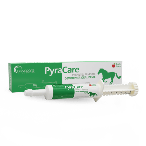 Pyrantel Pamoate Oral Paste (1 box and 1 syringe)