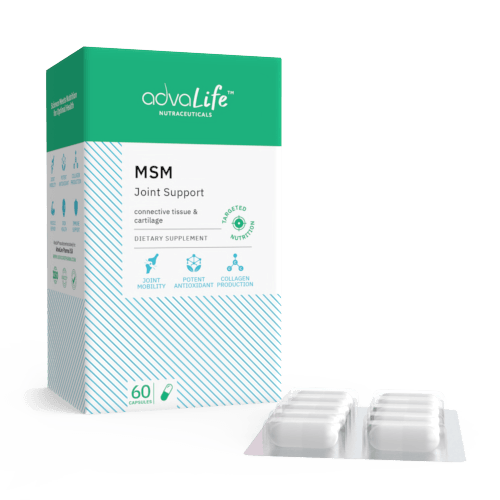 MSM Capsules (1 box and 1 blister)