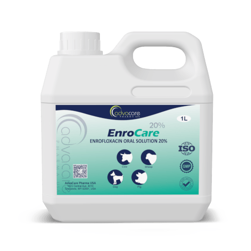 Solution Orale d'Enrofloxacine (1 bouteille)