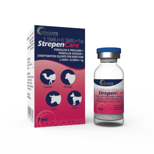 Penicillin G Procaine + Penicillin Sodium + Streptomycin Sulfate for Injection (1 box and 1 vial)