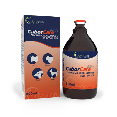 Injection de Borogluconate de Calcium (1 boîte et 1 flacon)