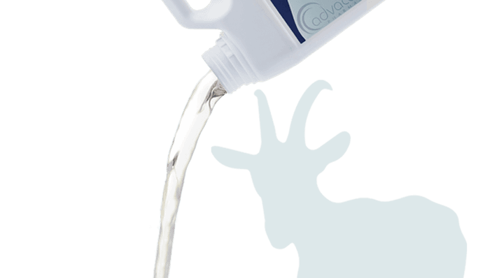 Veterinary Disinfectants