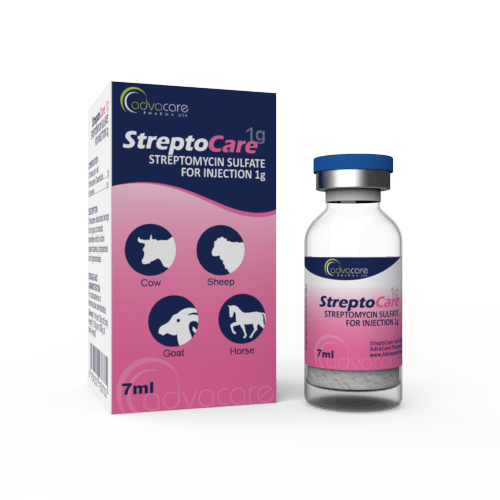 Streptomycin Sulfate for Injection (1 box and 1 vial)