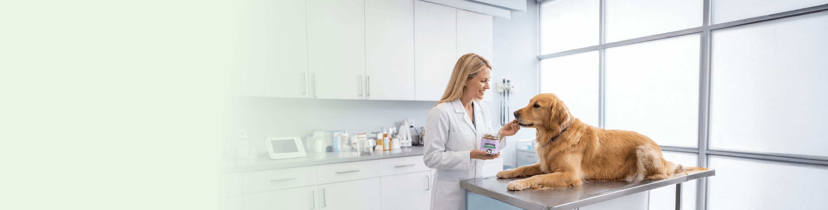 A female veterinarian in a white lab coat feeding a soft chew supplement to a golden retriever on an examination table in a clean, modern clinic.