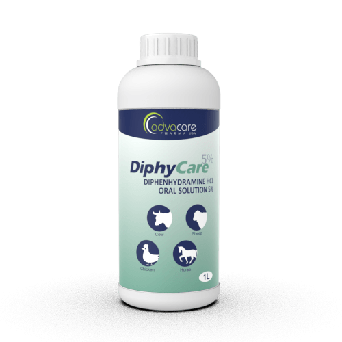 Solution Orale de Diphenhydramine (1 bouteille)