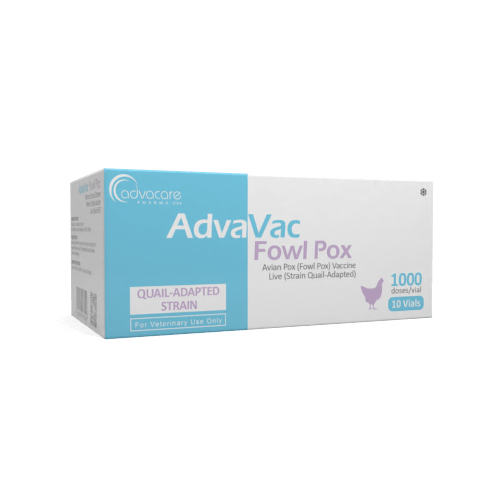 Variole aviaire (Variole aviaire)