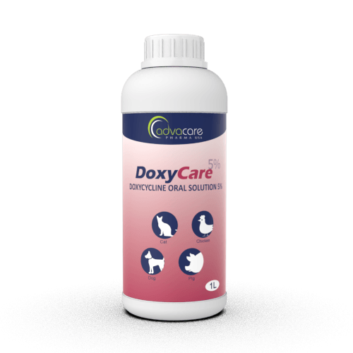 Solution Orale de Doxycycline (1 bouteille)