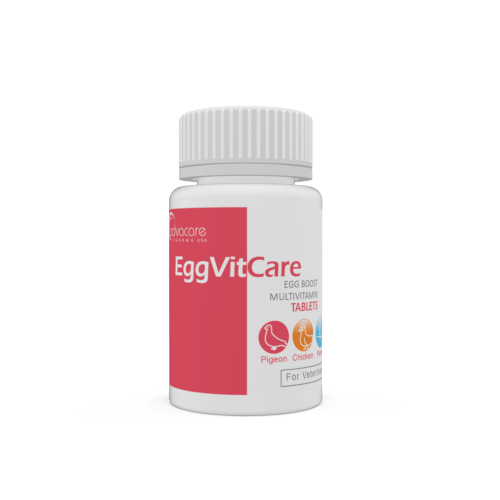 Comprimés Multivitamines Egg Boost (bouteille de 100 comprimés)