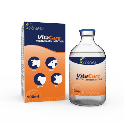 Multivitamin Injection (1 box and 1 vial)