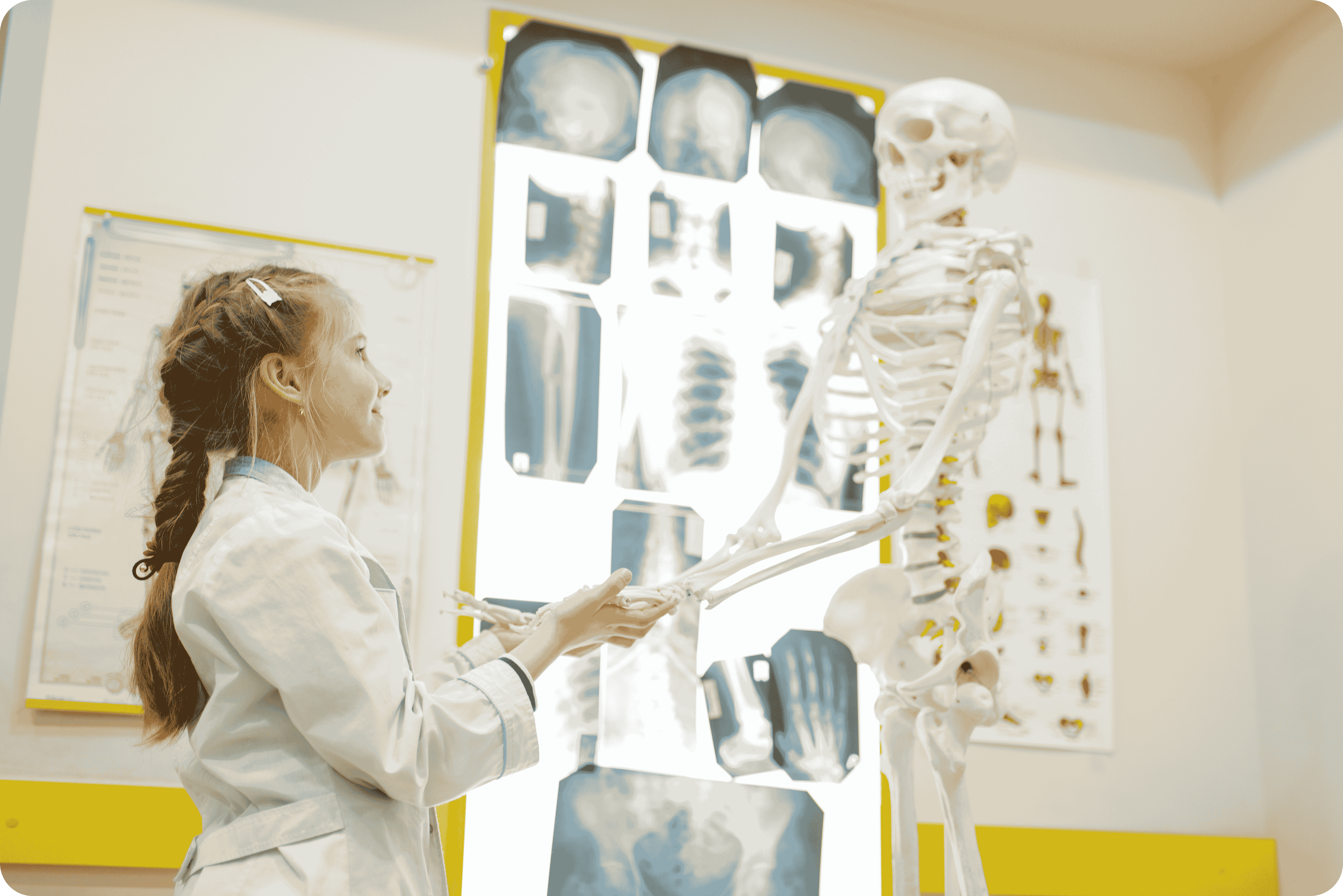 Santé des Os et des Articulations