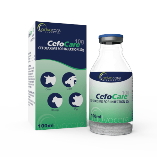 Cefotaxime pour Injection (1 boîte et 1 flacon)