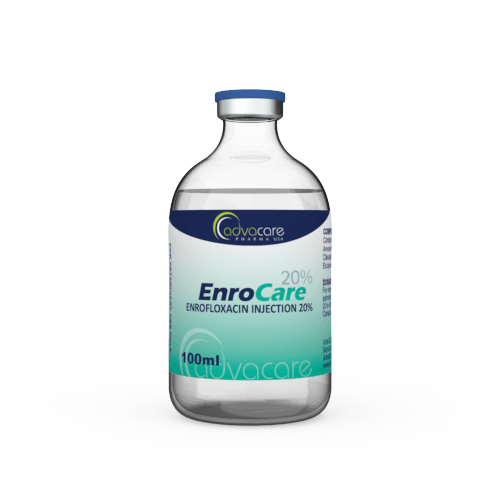 Injection d'Enrofloxacine (1 flacon)