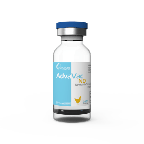 Newcastle Disease (ND) Vaccine (1 vial)