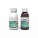 Ampicillin for Oral Suspension (1 white plastic bottle and 1 amber plastic bottle)