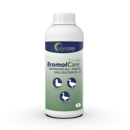 Solución Oral de Bromhexina HCl + Mentol (1 botella)