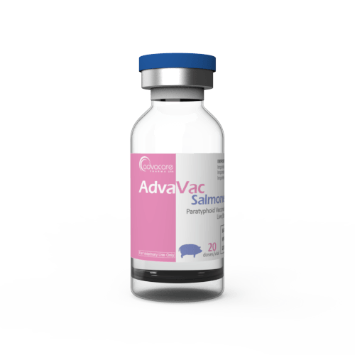 Paratyphoid Vaccine for Piglets (1 vial)