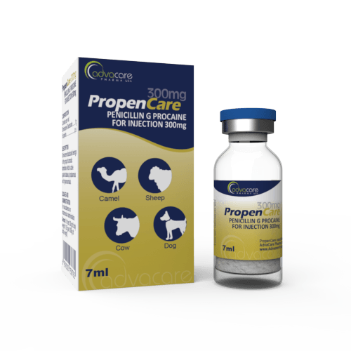 Penicillin G Procaine for Injection (1 box and 1 vial)