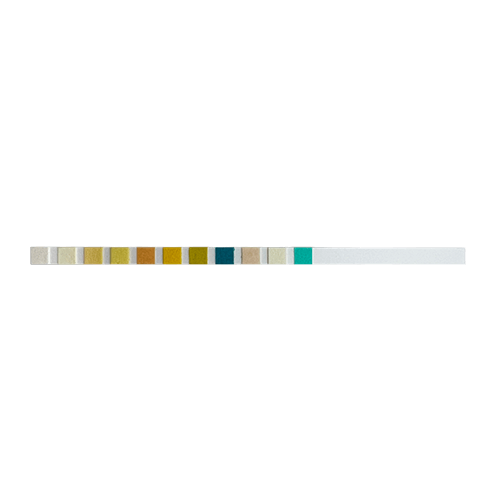 Urine Test Strips (1 strip)