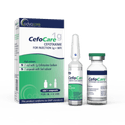 Cefotaxime Sodium for Injection (1 box, 1 vial and 1 WFI ampoule)