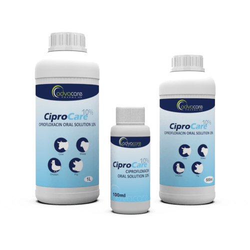 Ciprofloxacin Oral Solution (100ml bottle, 500ml bottle and 1L bottle)