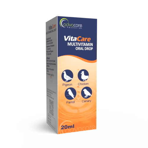 Multivitamine Gouttes Orales (carton de 1 bouteille)