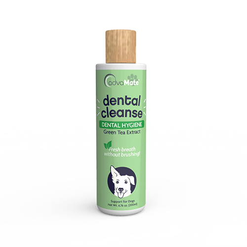 Dental Cleanse Solution (1 bottle)