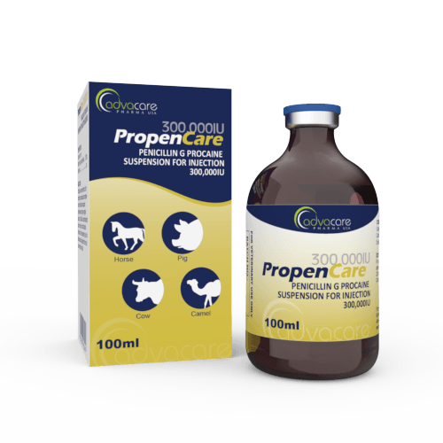 Penicillin G Procaine Suspension for Injection (1 box and 1 vial)