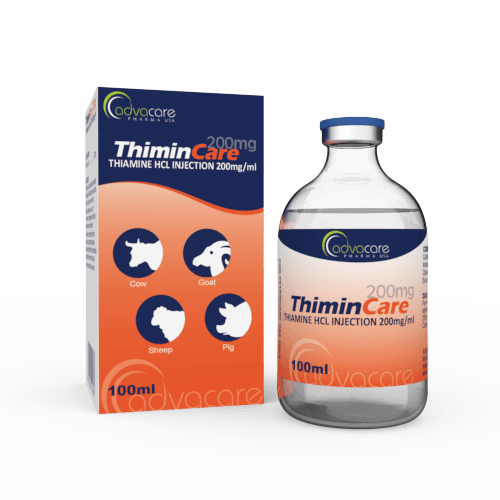 Injection de Thiamine HCl (1 boîte et 1 flacon)