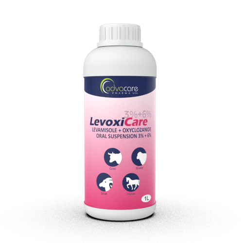 Suspension Orale de Levamisole HCl + Oxyclozanide (1 bouteille)