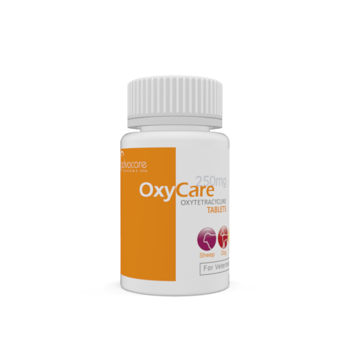 Comprimés d'Oxytétracycline (bouteille de 100 comprimés)