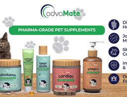Explore Global Pet Supplement Market Trends