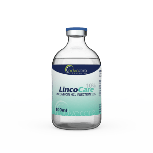 Inyección de Lincomicina HCl (1 frasco)