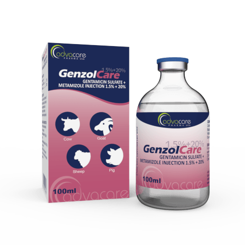 Gentamicin Sulfate + Metamizole Injection (1 box and 1 vial)