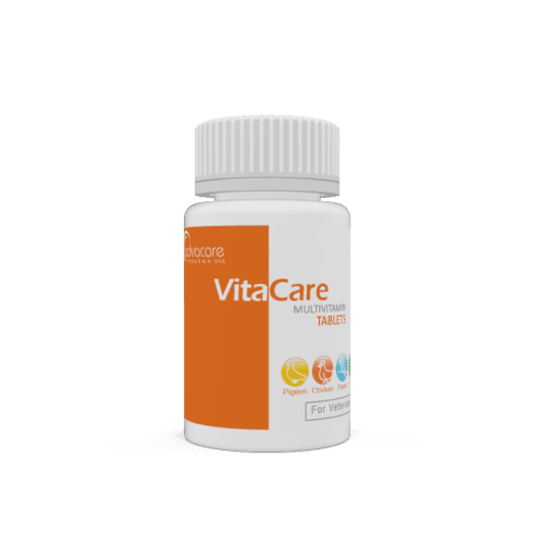 Comprimés Multivitamines (bouteille de 100 comprimés)