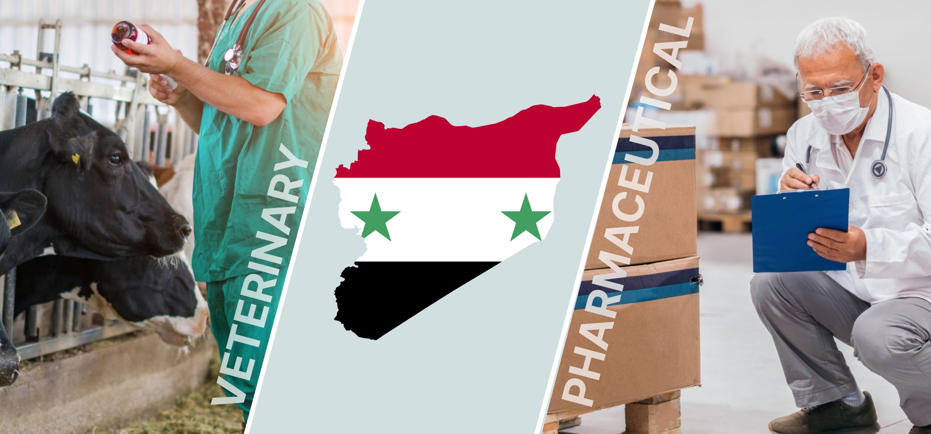 Fortalecimiento de las Cadenas de Suministro de Productos Veterinarios y Farmacéuticos en Siria