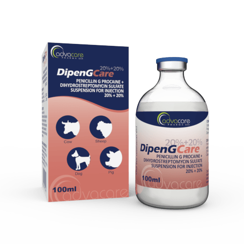 Suspension Injectable de Pénicilline G Procaïne + Sulfate de Dihydrostreptomycine (1 boîte et 1 flacon)