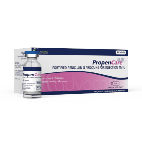 Pénicilline G Procaïne Renforcée pour Injection (1 boîte et 1 flacon)