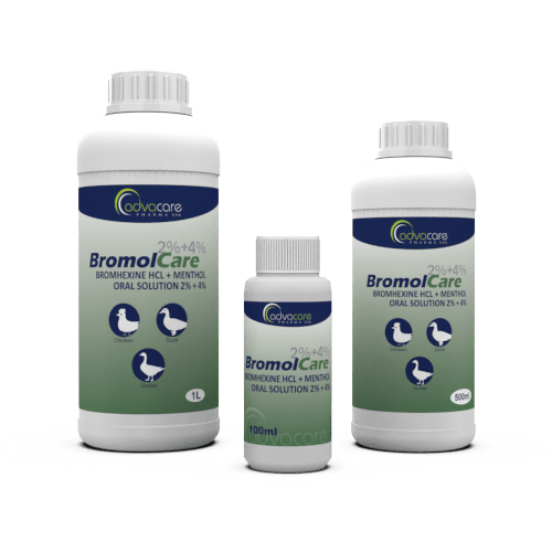 Bromhexine HCl + Menthol Oral Solution (100ml bottle, 500ml bottle and 1L bottle)