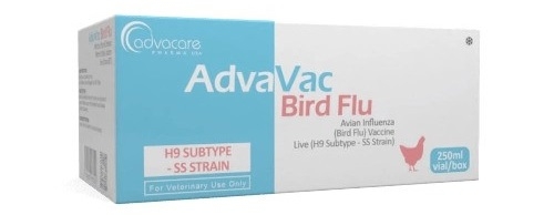 An image of a Avian Influenza vaccine box