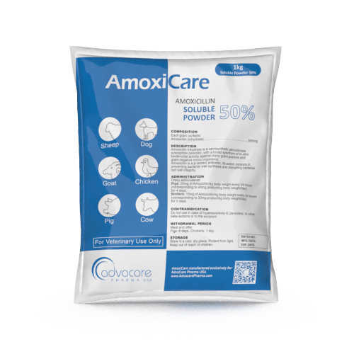 Amoxicillin Soluble Powder Manufacturer 1