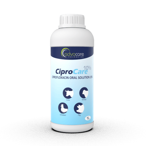 Ciprofloxacin Oral Suspension