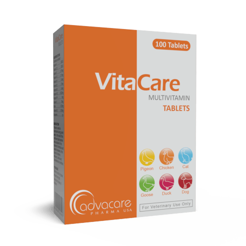 Multi-Vitamin Capsules Manufacturer 1