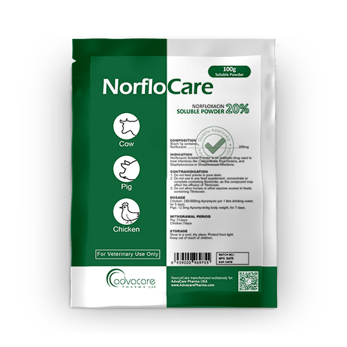 Norfloxacin Injection Manufacturer 1