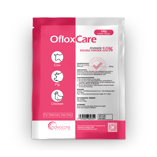 Ofloxacin Soluble Powder Manufacturer 1